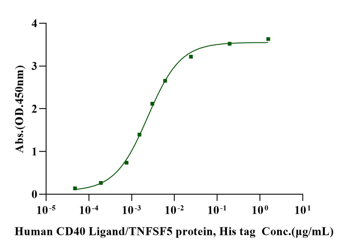 Biotinylated CD40 Fc&Avi Tag Protein, Human