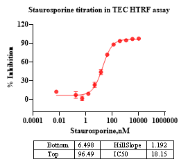 TEC GST Tag Protein, Human