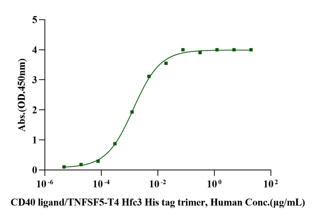 Biotinylated CD40 Avi&His Tag Protein, Human