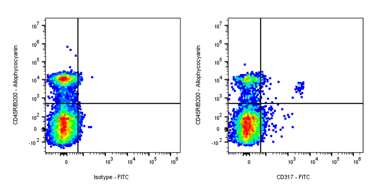 FITC Rat Anti-Mouse CD317 Antibody (927)