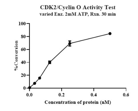 CDK2/Cyclin O Protein, Human