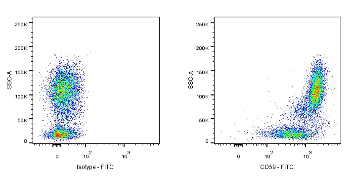 FITC Mouse Anti-Human CD59 Antibody (S-R567)