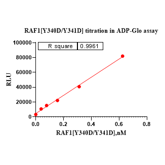 Product image media