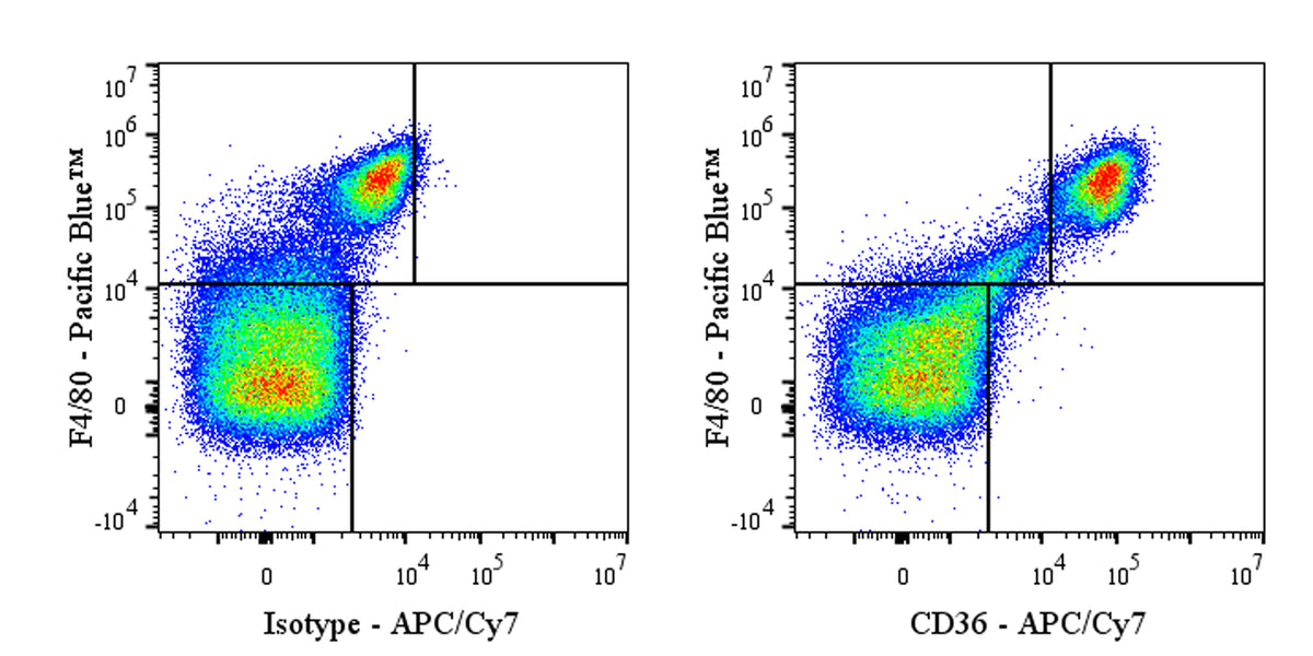 APC-Cy7 Armenian hamster Anti-Mouse CD36 Antibody (HM36)