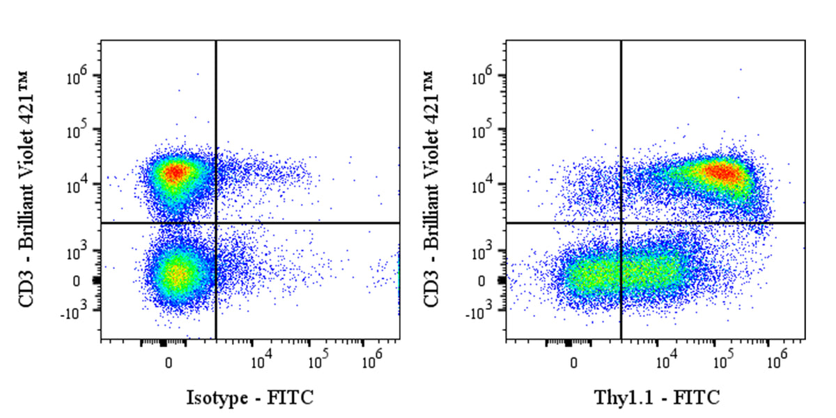 FITC Mouse Anti-Mouse Thy1.1 (CD90.1) Antibody (S-3781)
