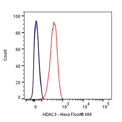 HDAC3 Rabbit Polyclonal Antibody