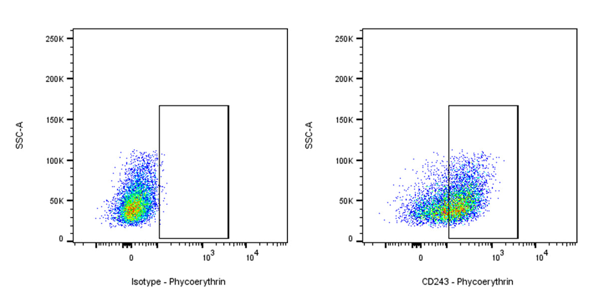 Mouse Anti-Human CD243 Antibody (S-2907)