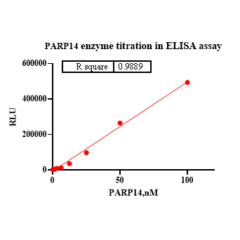 Product image media