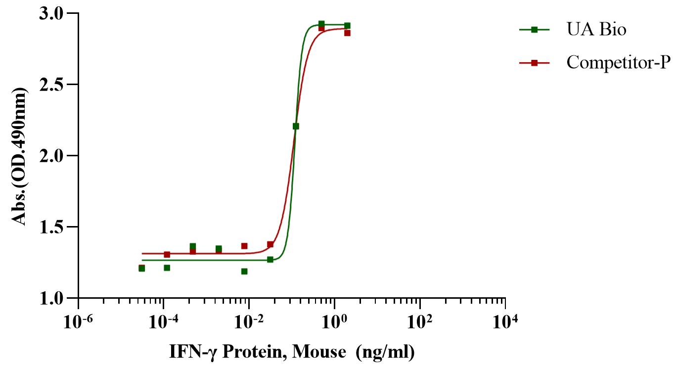 IFN-γ Protein, Mouse