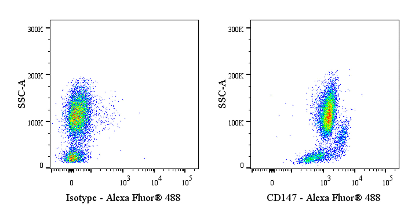 Alexa Fluor® 488 Mouse Anti-Human CD147 Antibody (S-2803)