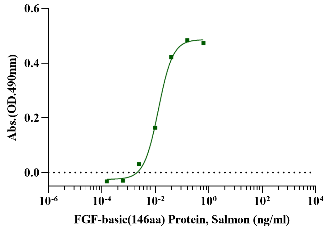 FGF-basic(146aa) Protein, Salmon