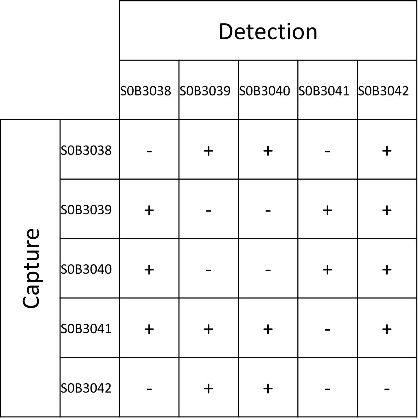 A35R Recombinant Rabbit mAb (SDT-182-77)