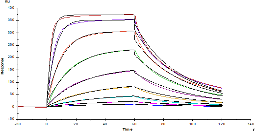ICOS/CD278(C136S, C137S) His Tag Protein, Human