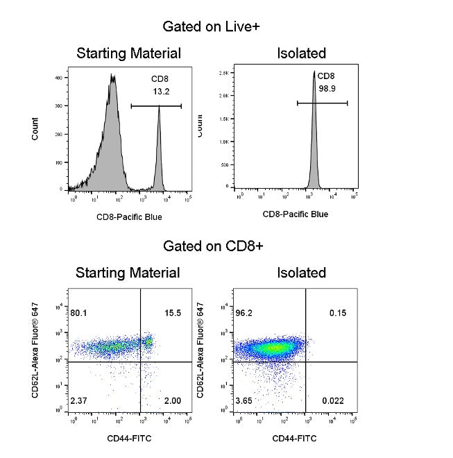 Mouse Naïve CD8 T Cell Isolation Kit (Column-Based)