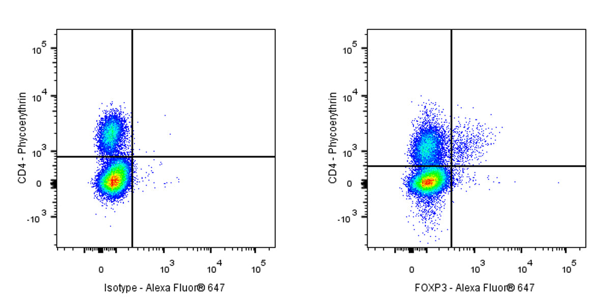 Mouse Anti-Human FOXP3 Antibody (S-2903)