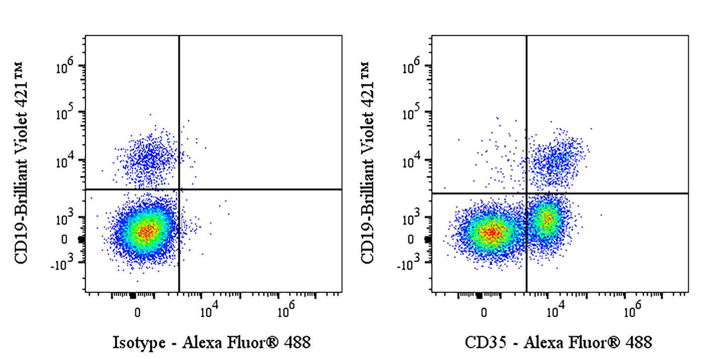 Alexa Fluor® 488 Rabbit Anti-Human CD35 Antibody (S-1294-26)