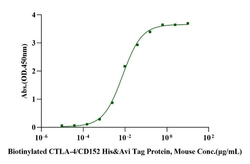 Biotinylated CTLA-4/CD152 His & Avi Tag Protein, Mouse