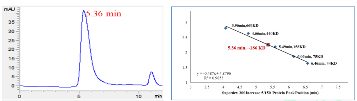 GRK5 His&GST Tag Protein, Human