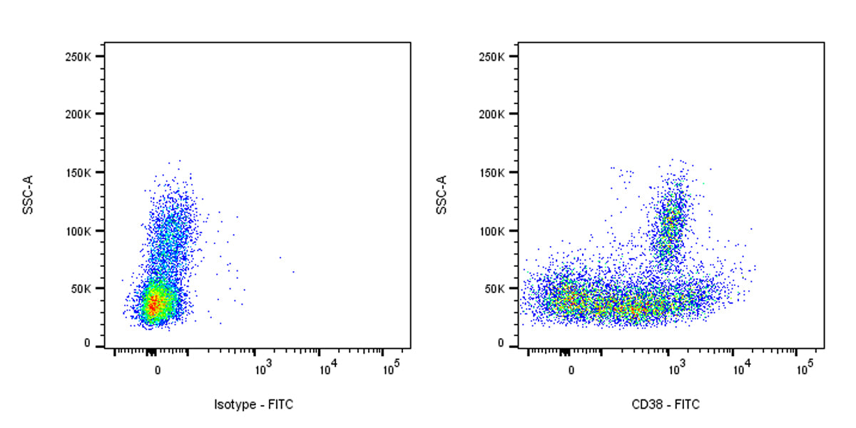 FITC Mouse Anti-Human CD38 Antibody (S-R507-3)