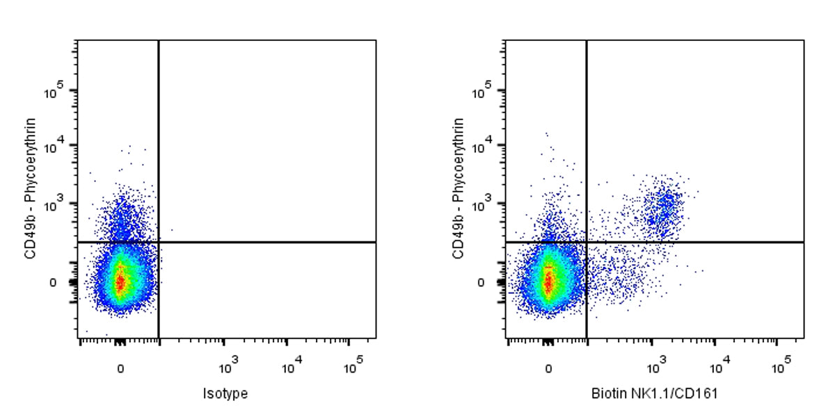 Biotin Rabbit Anti-Mouse NK1.1/CD161 Antibody (S-428-32)