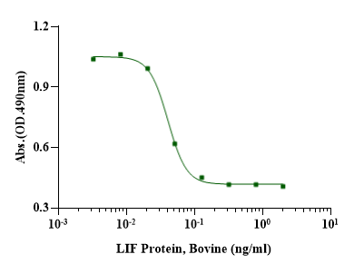 LIF Protein, Bovine