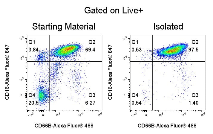 Human Neutrophil Isolation Kit (Column-Based)