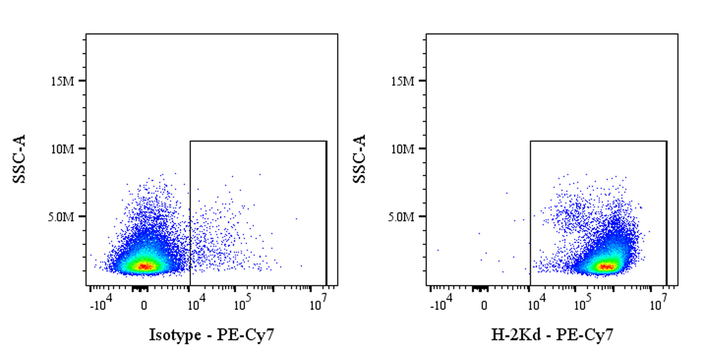 PE-Cy7 Mouse Anti-Mouse H-2Kd Antibody (SF1-1.1)