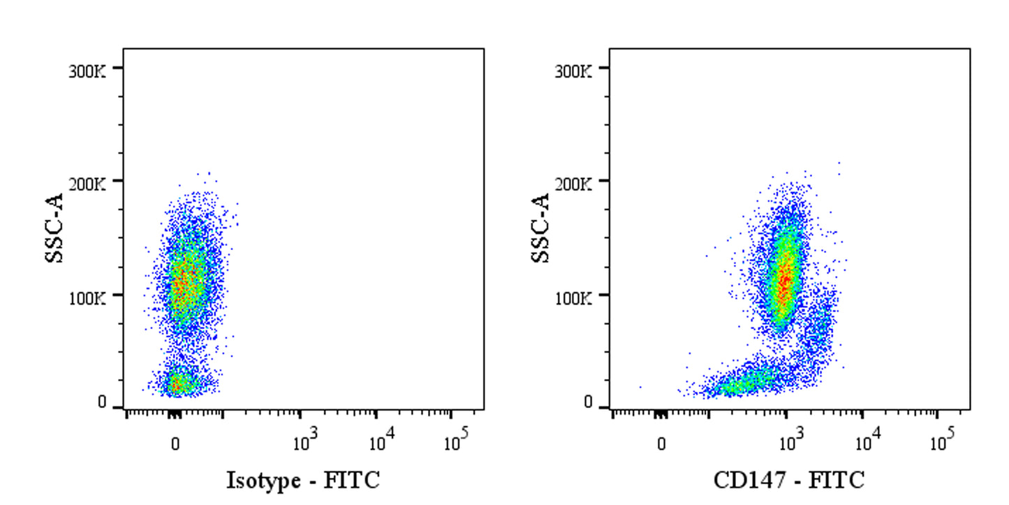FITC Mouse Anti-Human CD147 Antibody (S-2803)