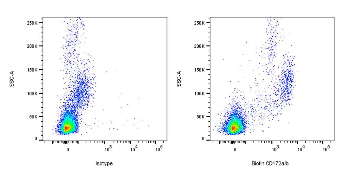 Biotin Mouse Anti-Human CD172a/b Antibody (S-3431)