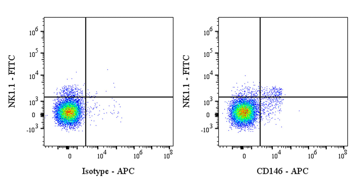 APC Rat Anti-Mouse CD146 Antibody (S-R606)
