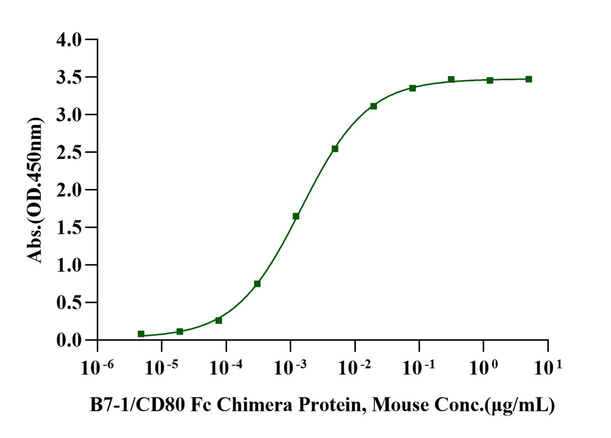 B7-1/CD80 Fc Chimera Protein, Mouse