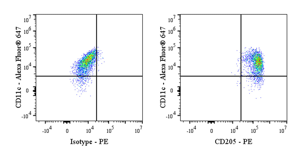 PE Mouse Anti-Human CD205 Antibody (S-3023)
