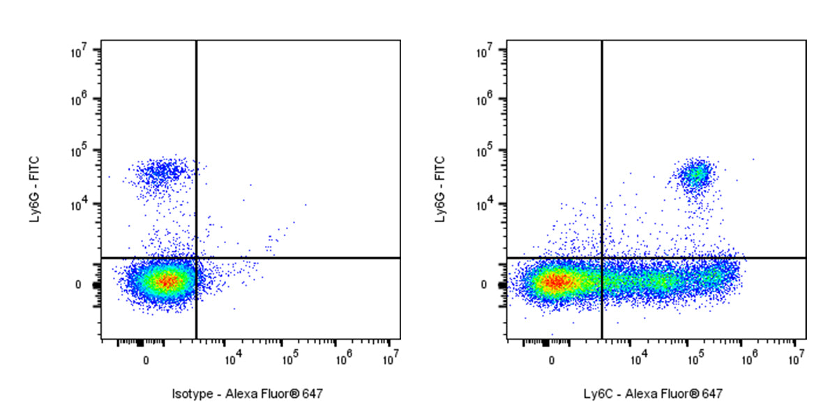 Rat Anti-Mouse Ly6C Antibody (S-4036)