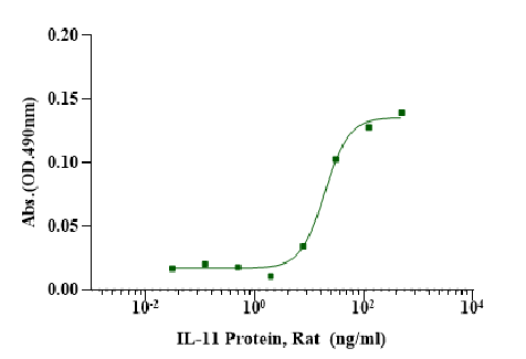 IL-11 Protein, Rat