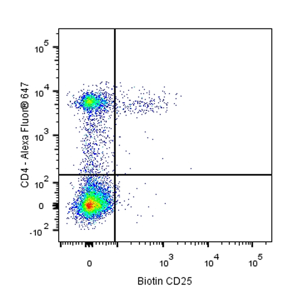 Biotin Rat Anti-Mouse CD25 Antibody (S-R441)