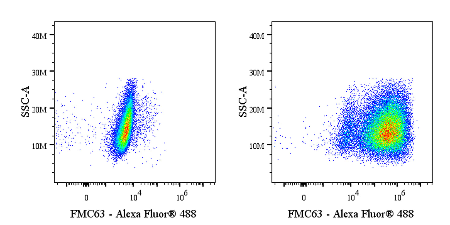 Anti-FMC63 Recombinant Rabbit mAb (S-2163-53)