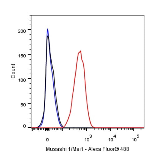 Musashi 1/Msi1 Recombinant Rabbit mAb (S-1477-58)