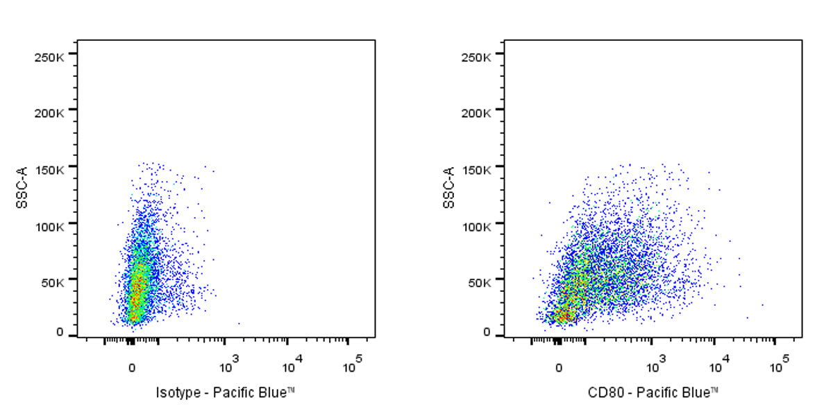 Pacific Blue Armenian hamster Anti-Mouse CD80 Antibody (16-10A1)