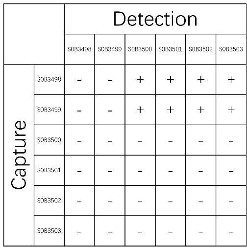 TNF RI Recombinant Rabbit mAb (SDT-1656-155)
