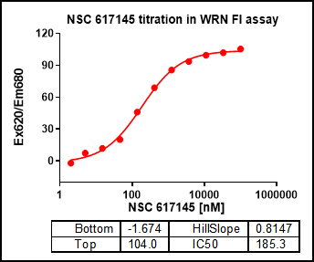WRN (500-946) Protein,Human