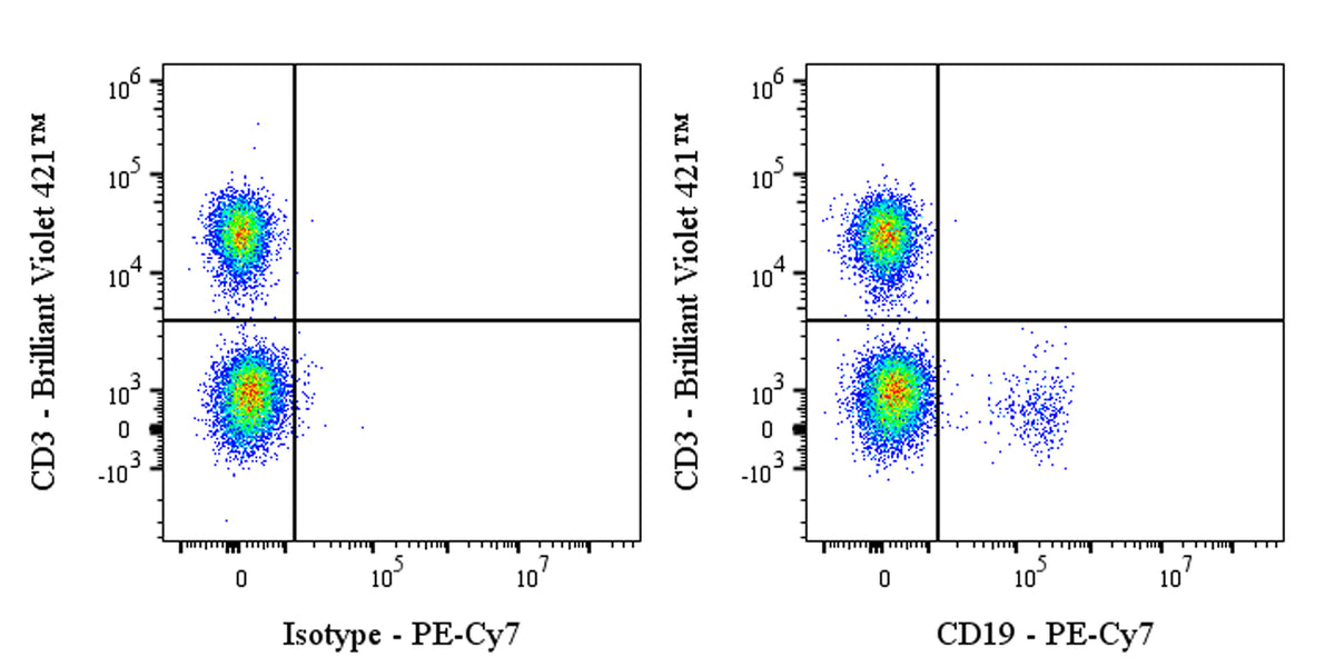 PE-Cy7 Mouse Anti-Human CD19 Antibody (HIB19)