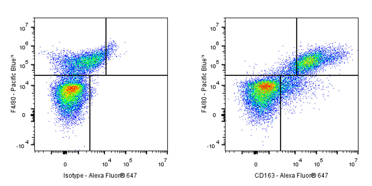 Alexa Fluor® 647 Rat Anti-Mouse CD163 Antibody (S-R608)