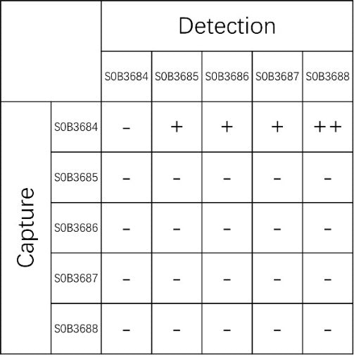 FGFR4 Recombinant Rabbit mAb (SDT-1216-212)