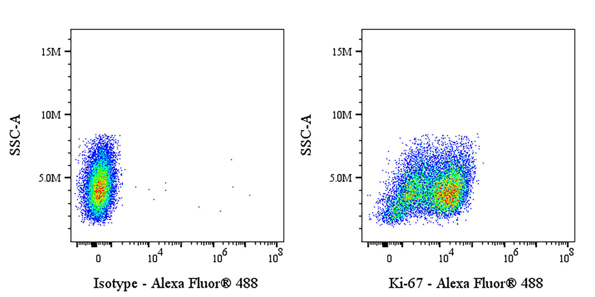 Alexa Fluor® 488 Rat Anti-Mouse Ki-67 Antibody (S-R595)