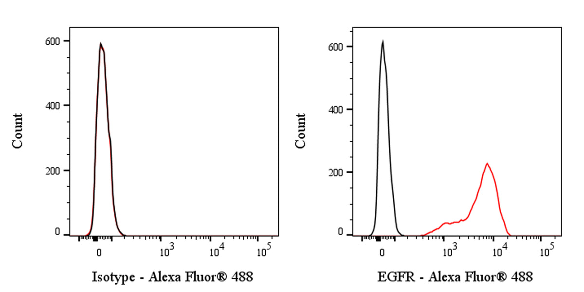 Alexa Fluor® 488 Mouse Anti-Human EGFR Antibody (528)