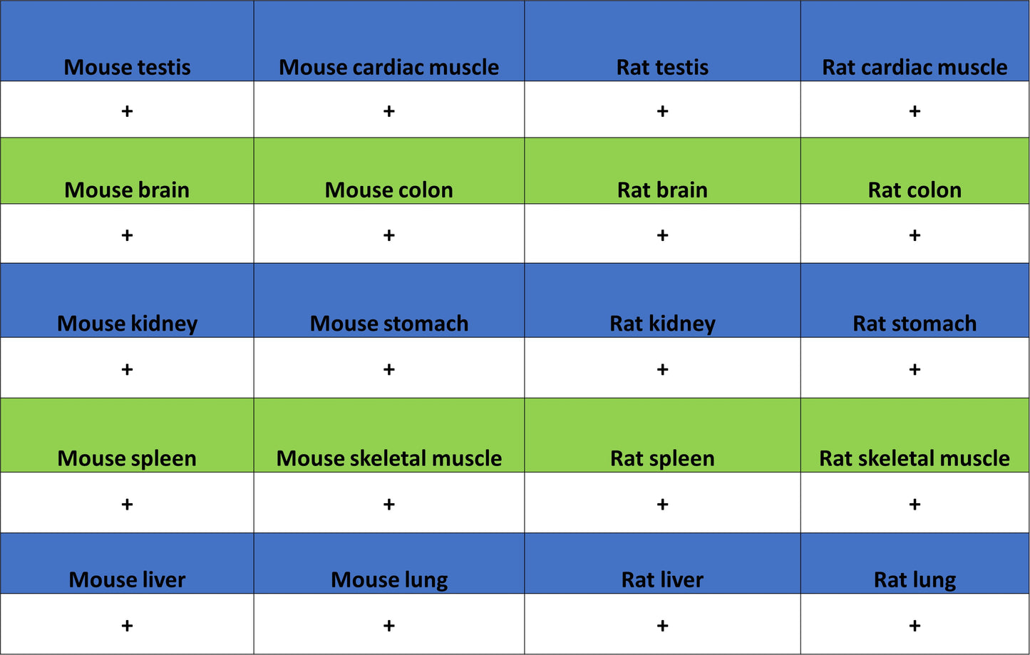 ATP Citrate Lyase Recombinant Rabbit mAb (S-5036)