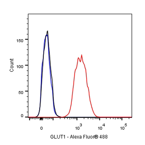S-RMab® GLUT1 Recombinant Rabbit mAb (SDT-047-53)