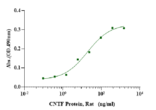 CNTF Protein, Rat