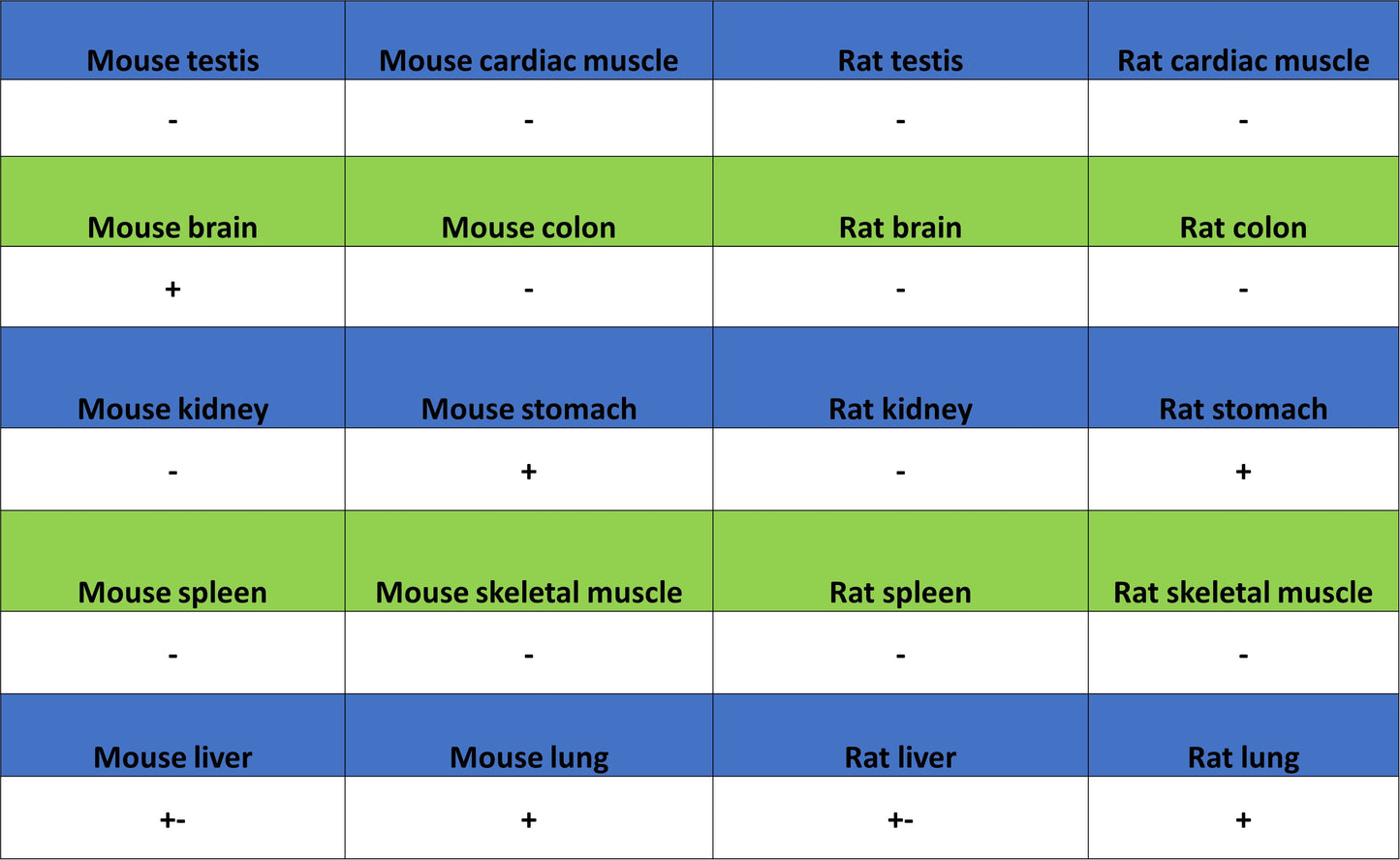 ALCAM Recombinant Rabbit mAb (S-4080-21)