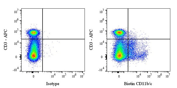 Biotin Mouse Anti-Rat CD11b/c Antibody (OX-42)